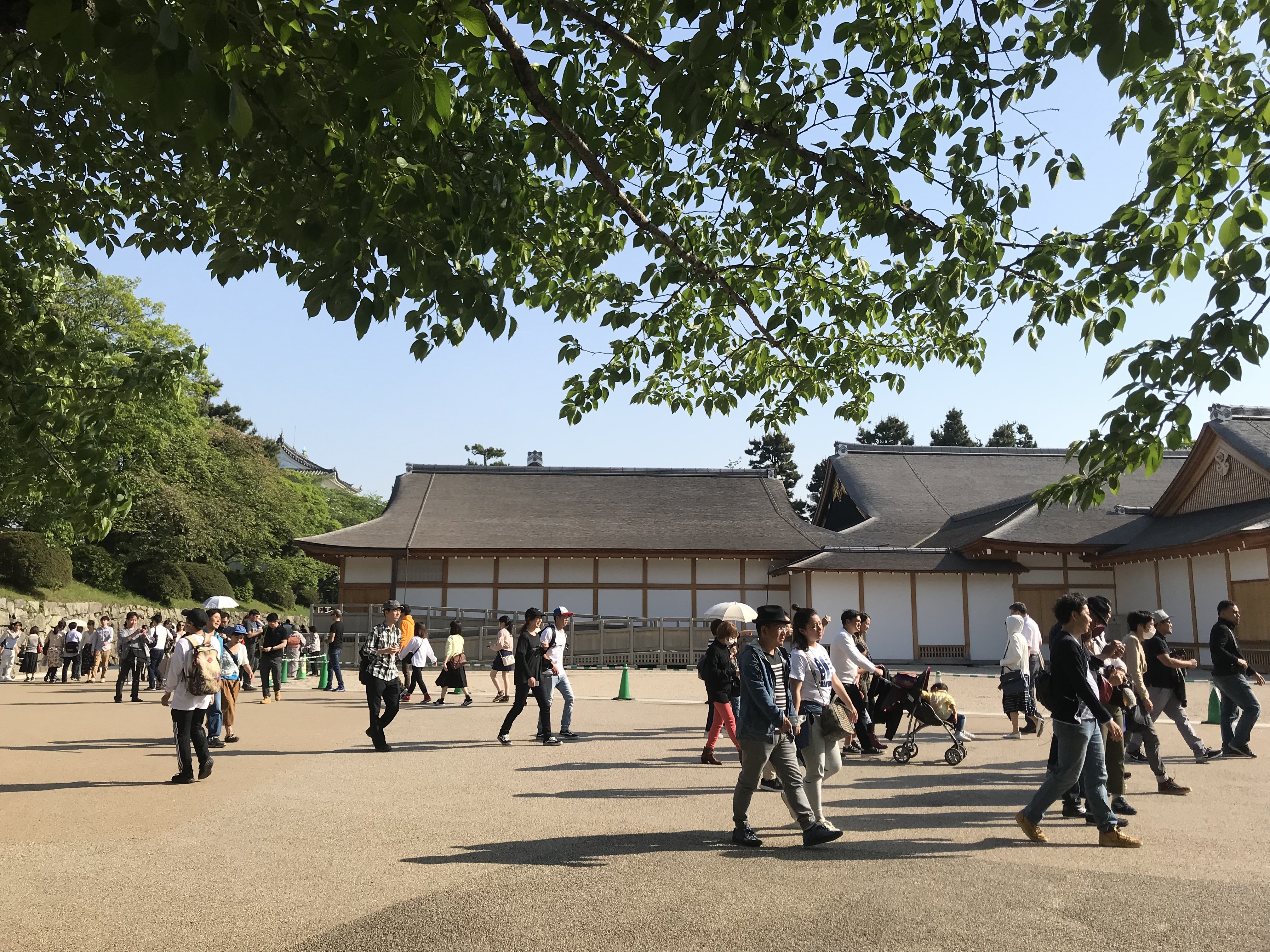 32E942F9-0315-468B-8169-6A57414BBAF5