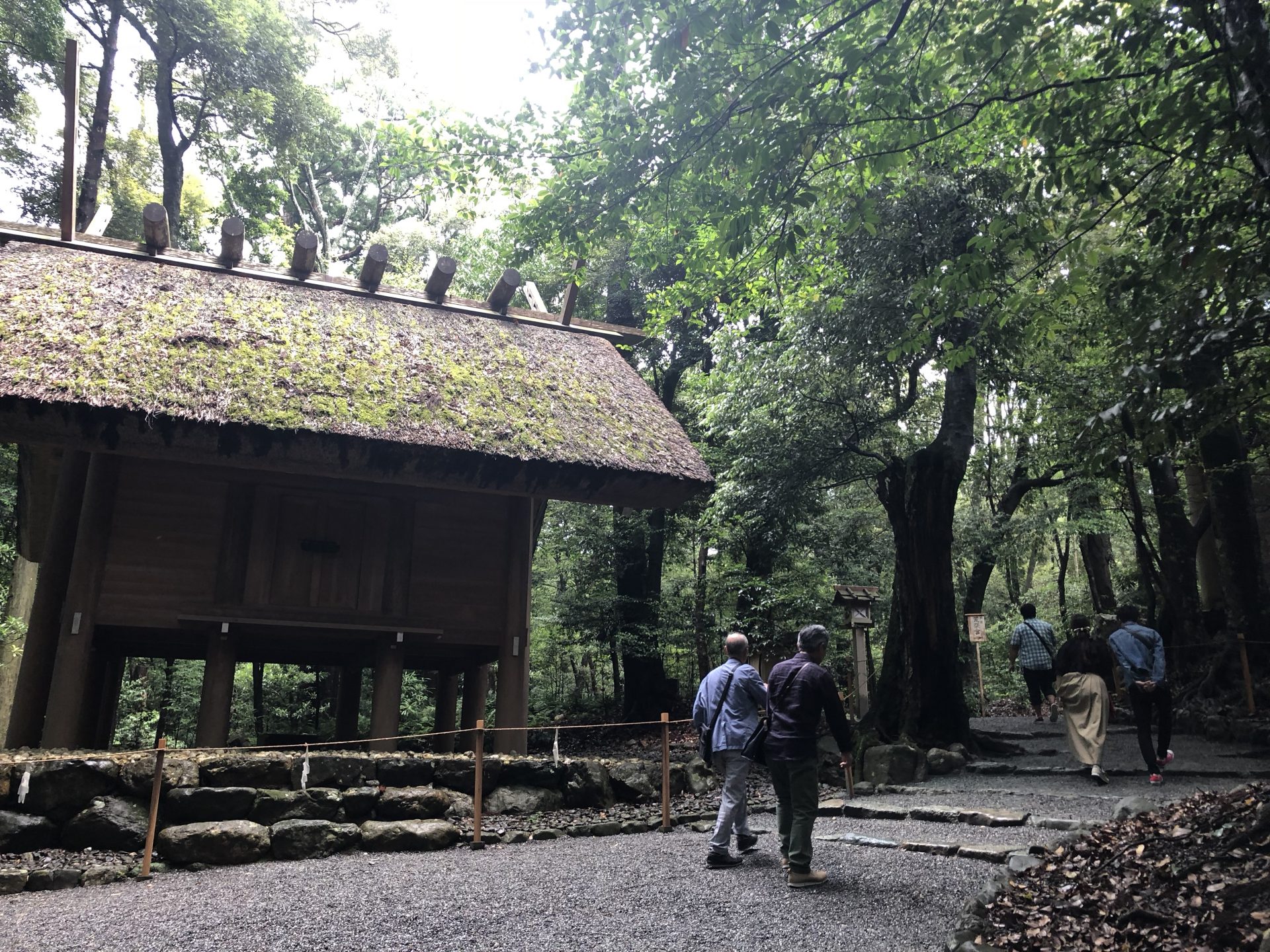 20180624_013311865_iOS