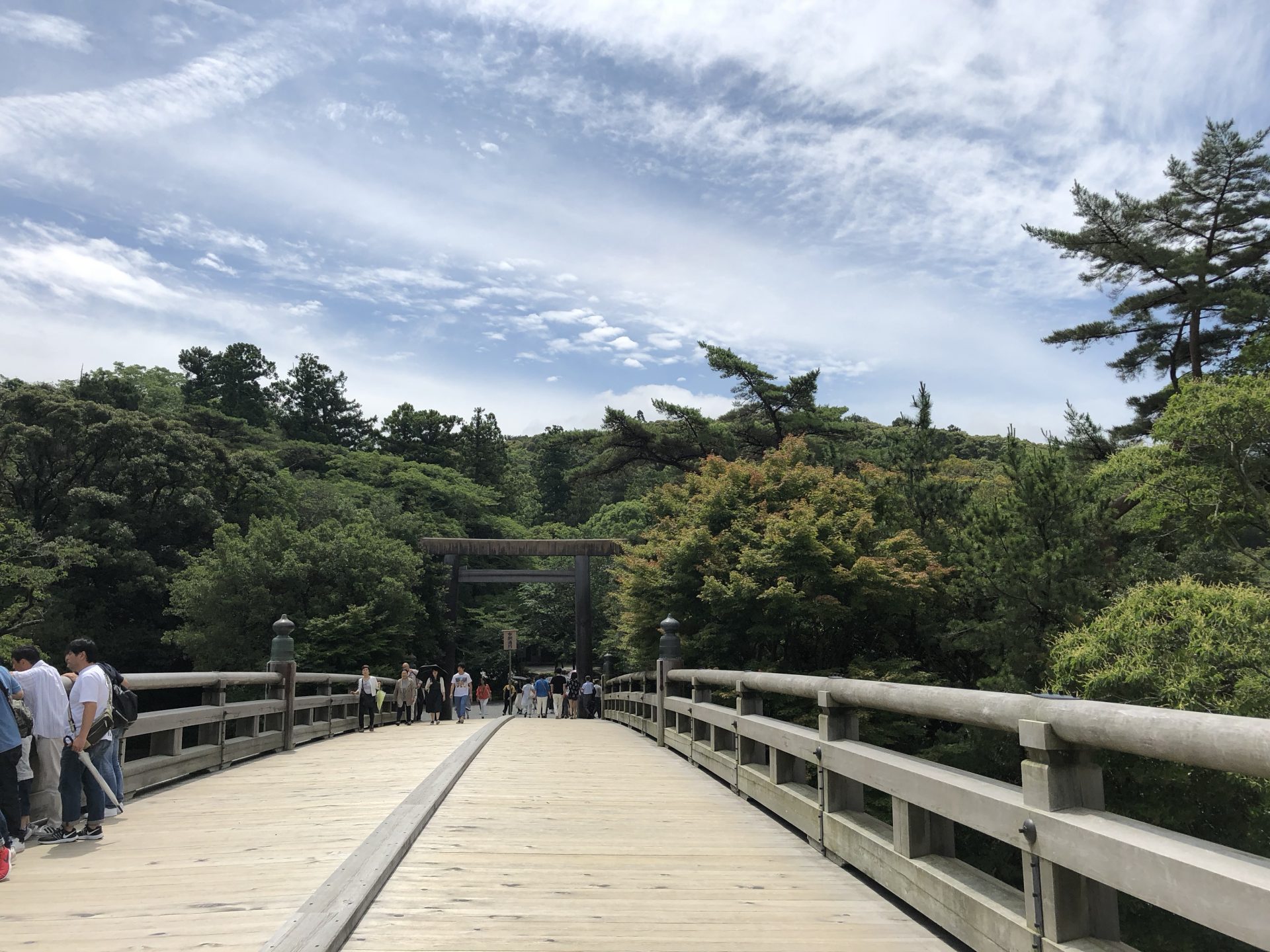 20180624_005819571_iOS