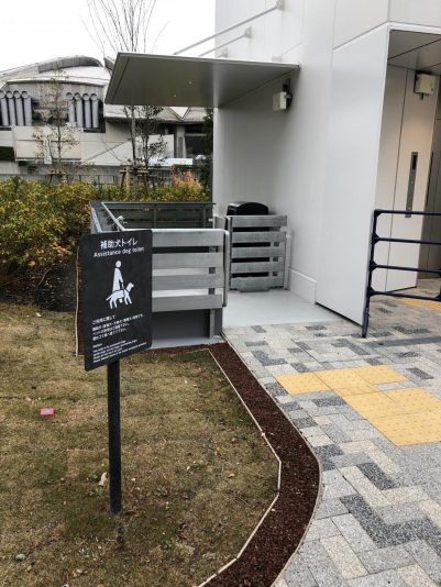 20191221_060512161_iOS