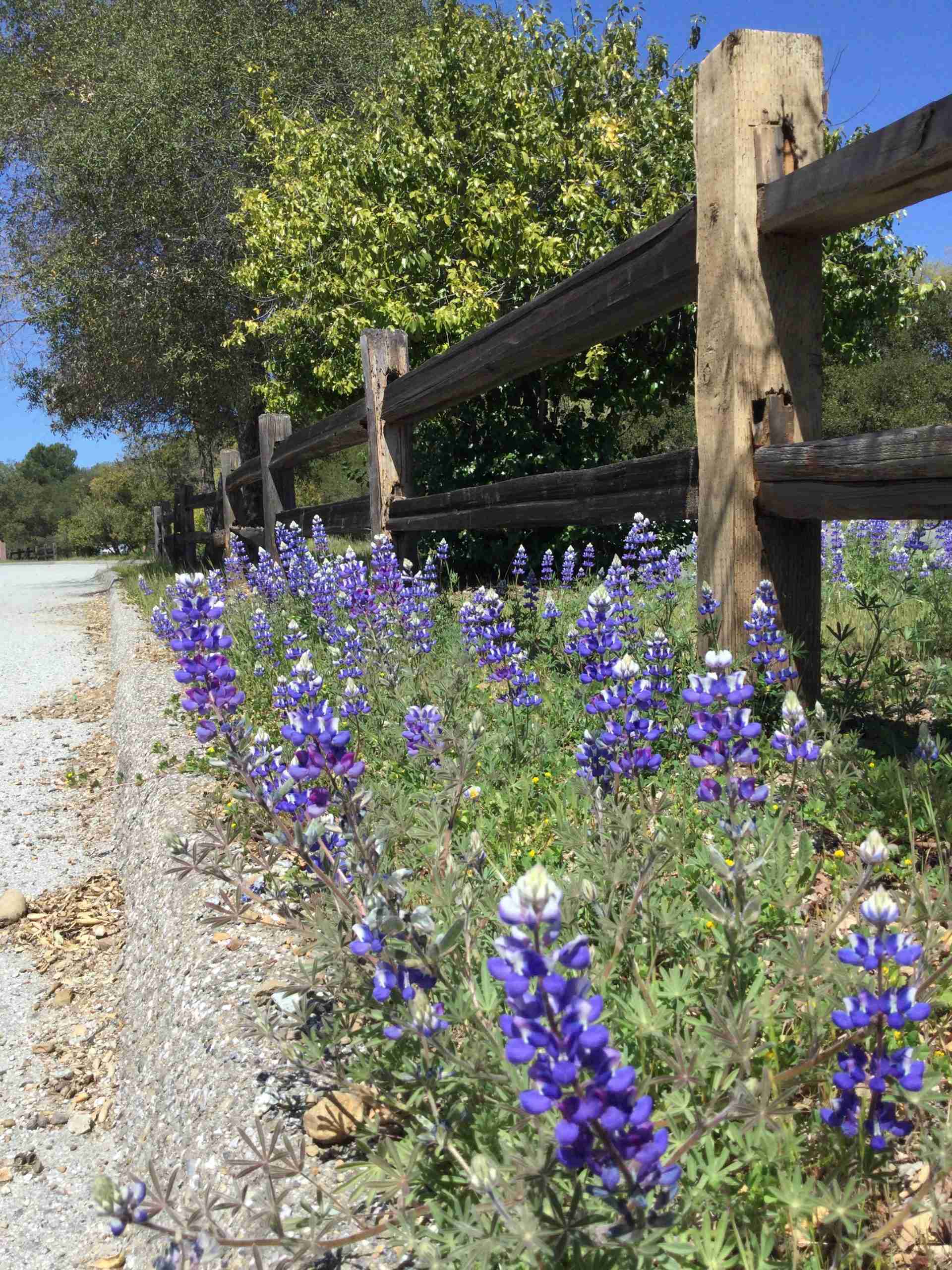 80FDB5A5-AA4F-4C96-AA72-C9D9ACA1A3A1