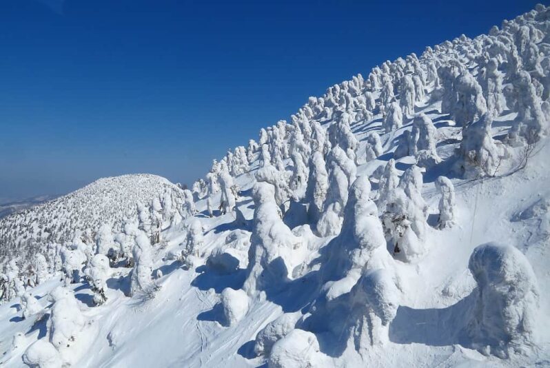 Snow monsters Hakkōda Towada Hachimantai National Park