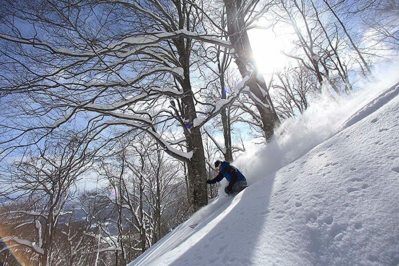 simokura ski area hachimantai (trip8)