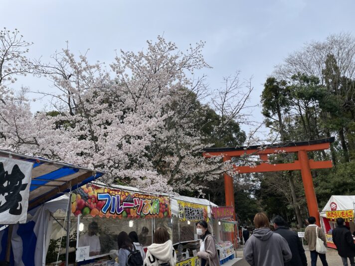 20220402_030526446_iOS