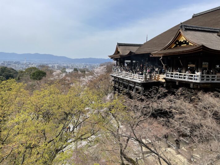 20220402_035629769_iOS