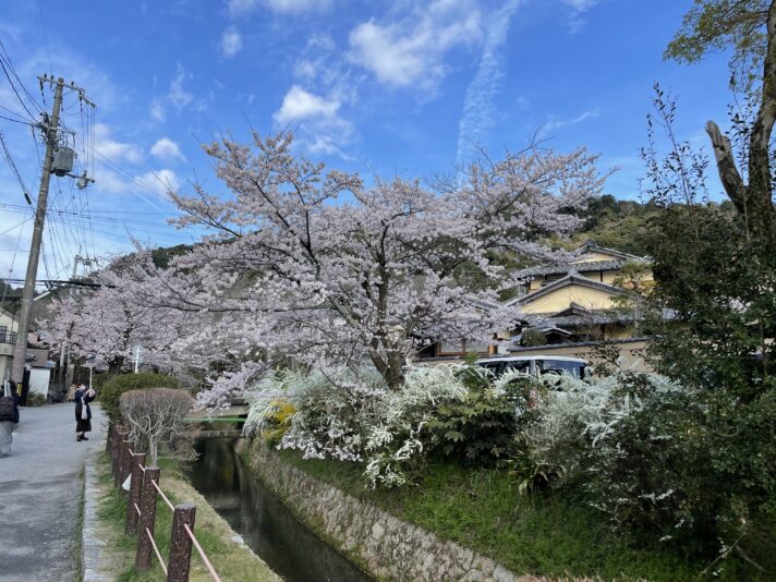 20220401_070115785_iOS