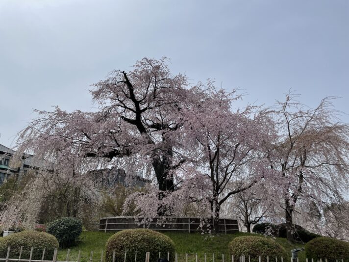 20220402_030102549_iOS