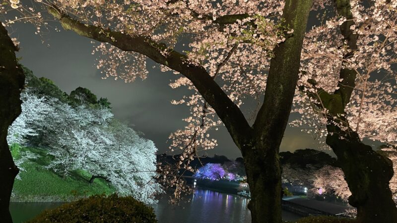 3BDD9DC2-ACBC-4914-A32D-28A260A24586