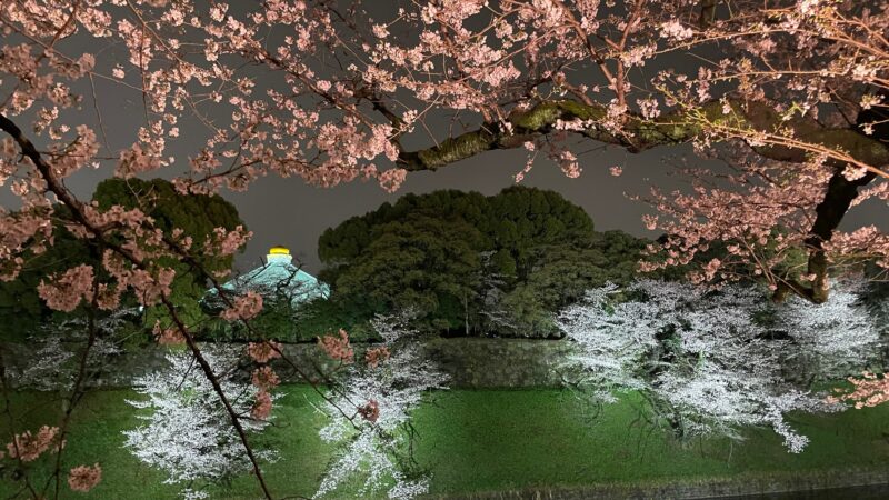 C920856A-B85A-4E8C-A626-E47EF0D1726C