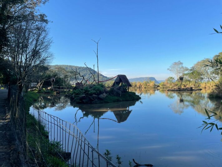 WhatsApp Image 2023-08-03 at 09.03.51