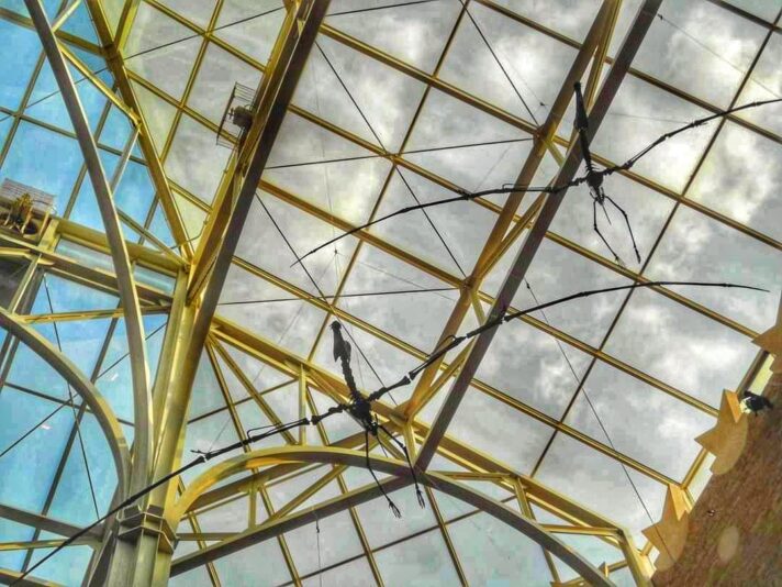 FB_IMG_1698404715873-01