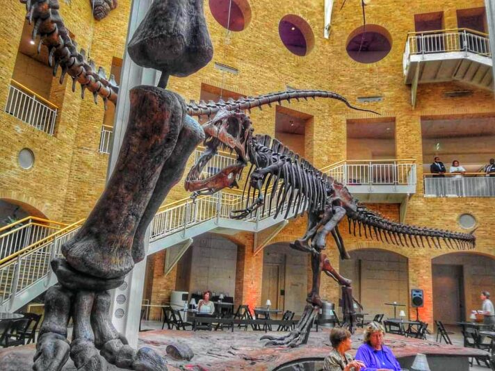 FB_IMG_1698404737147-01