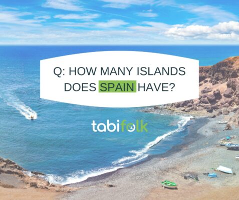 434153954_917644063694365_8433377389402209297_n