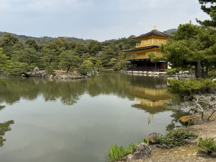 5D5879C0-60FA-41CD-824E-BE39B58EC7A9