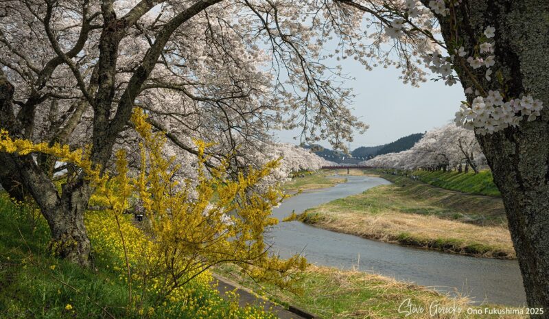 491997469_10171062044955593_6713013889460338626_n