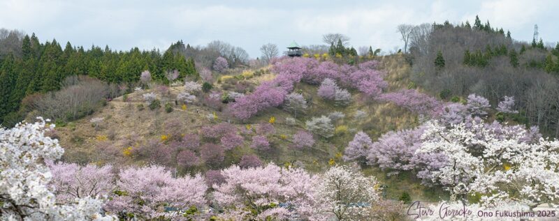 491999299_10171061997705593_3557919780828278342_n