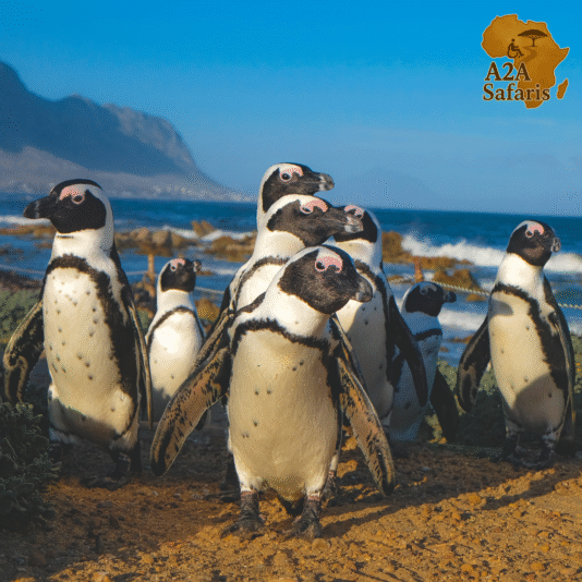 Untitled design (45)