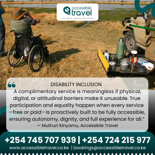 Accessible Travel Posters (8)