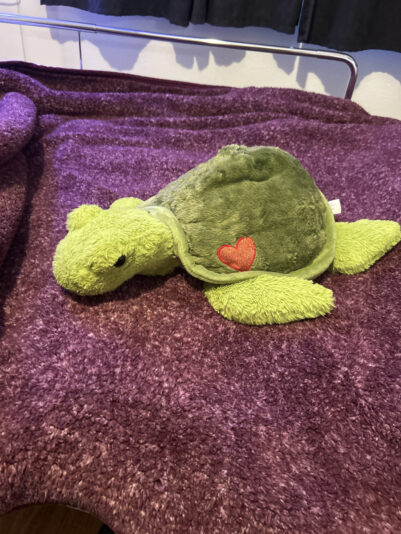 921E52C7-30DF-45BC-ACB9-B5E1F0797A38