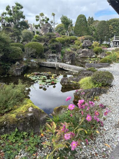 A27345E6-1CA0-4D28-A981-871564AF477C_1_102_o