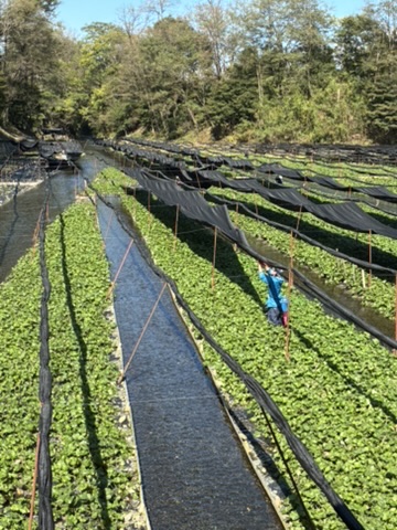 7B96A68A-2210-4486-8CA1-C7751F456589_4_5005_c